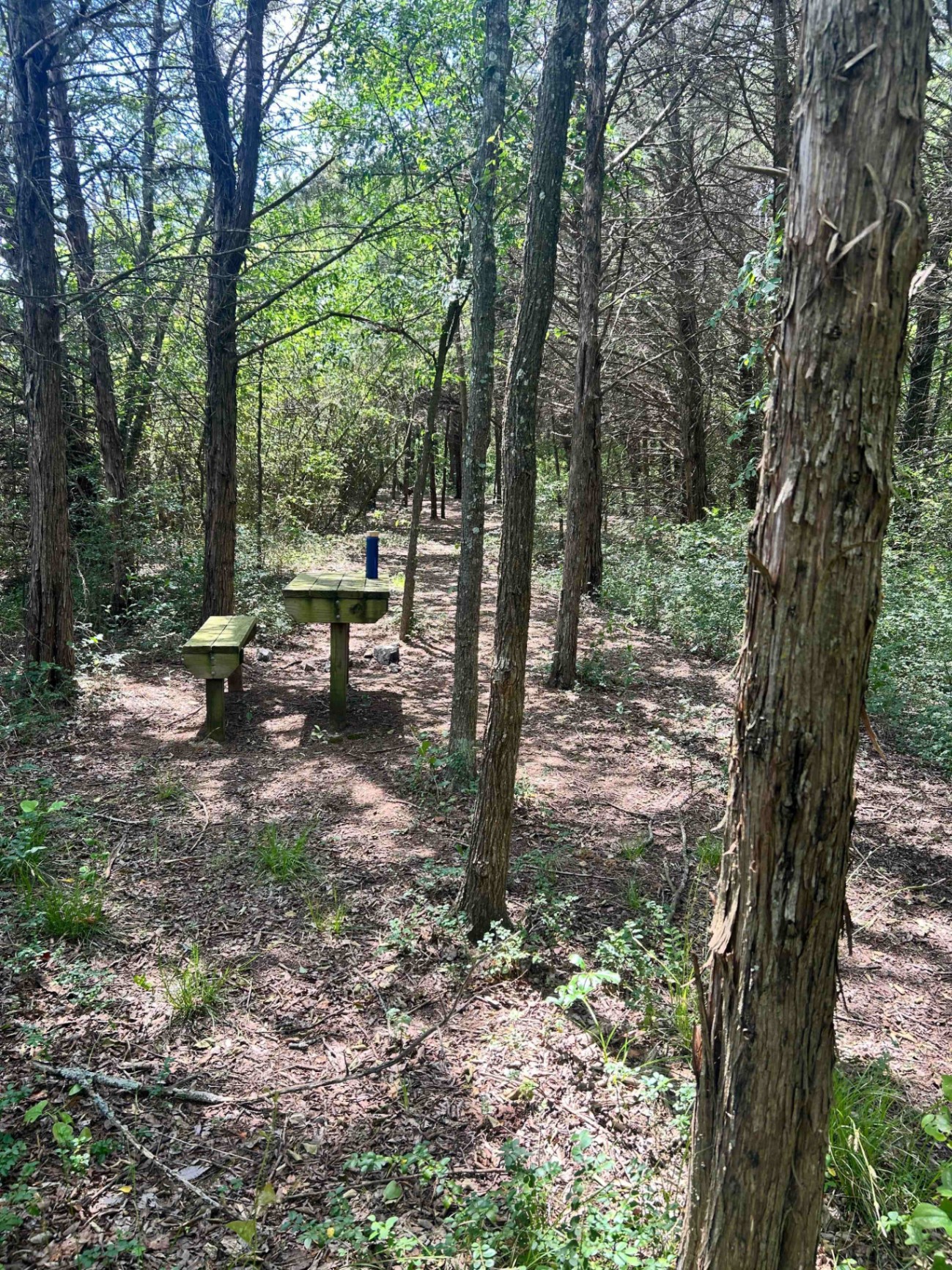 Picnic table and bench in the shaded campsite grove