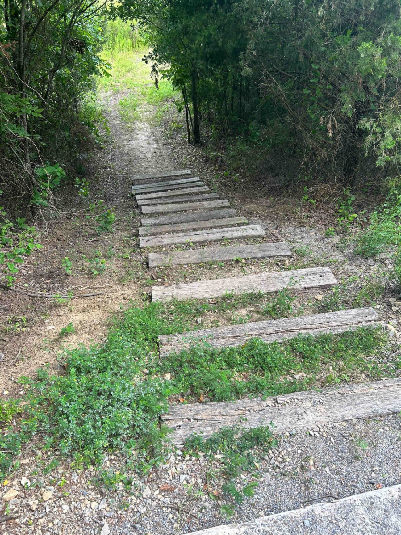 Wooden plank stairs leading down from the trail to the campsite